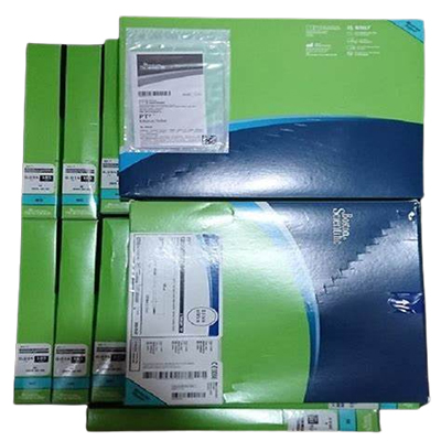 Straight Tip - Pt Graphix 182cm Straight Tip