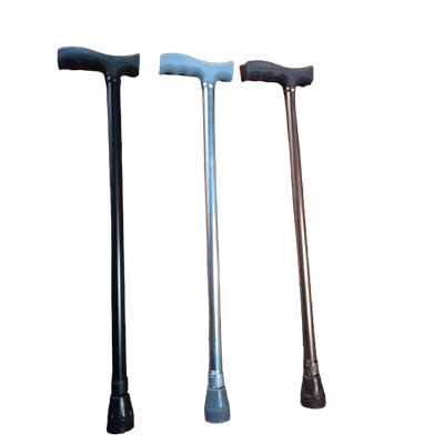 Walking Sticks